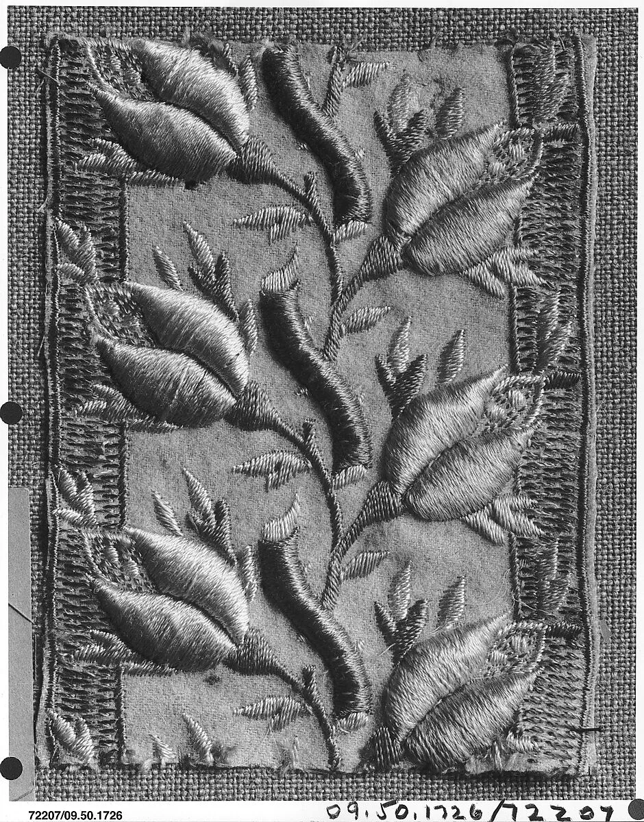 Fragment — Unknown