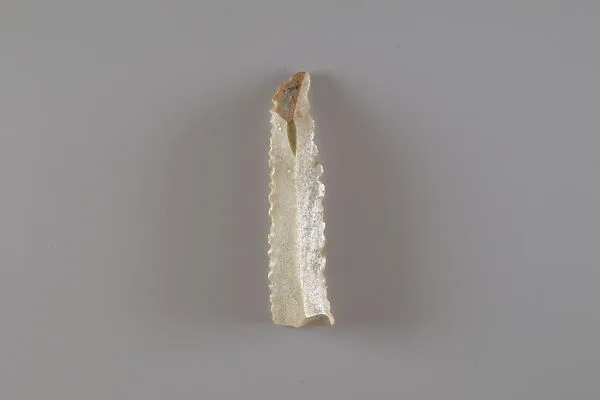 Sickle Insert — Unknown