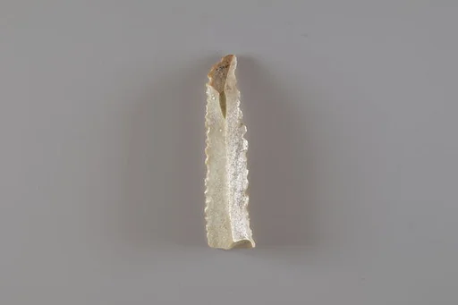Sickle Insert