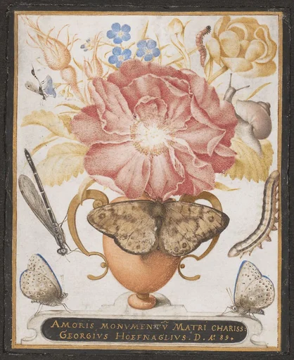 Still Life with Flowers, a Snail and Insects