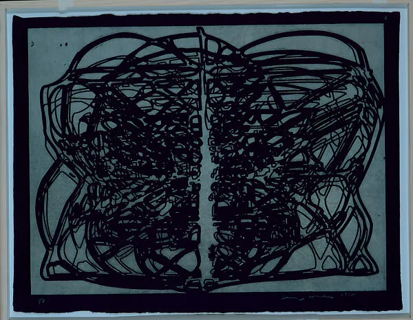 Graphic Primitives — Terry Winters