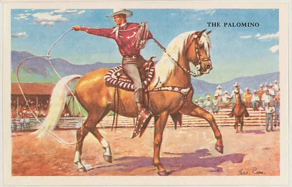 The Palomino, bakery card from the Horses series (D39-5), issued by the Gordon Bread Company — Gordon Bread Company