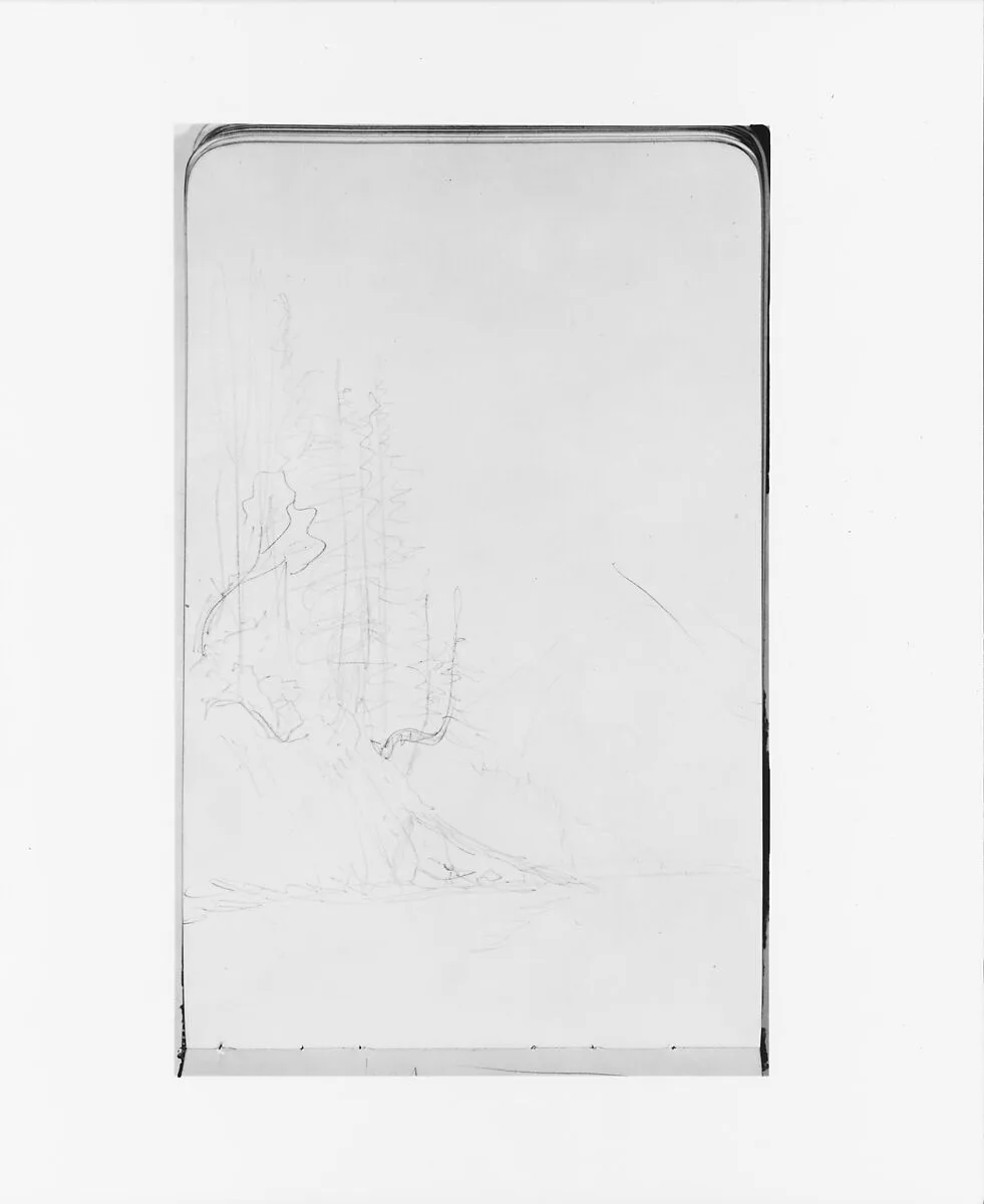 Trees on a Cliffside with a Mountain in the Background (from Sketchbook) — Albert Bierstadt
