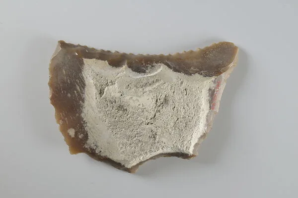 Sickle Insert — Unknown