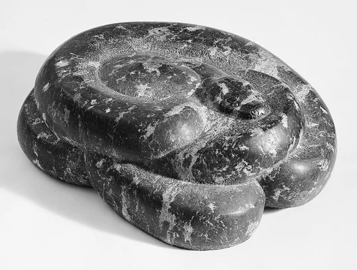 Python of India