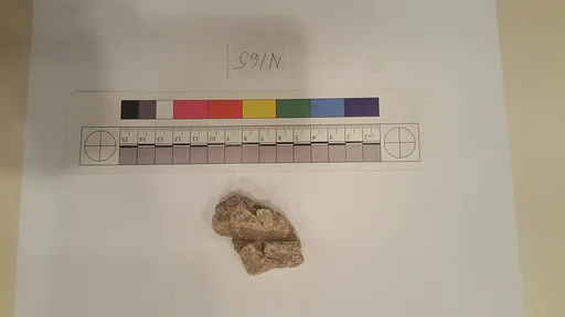 Stucco Fragment