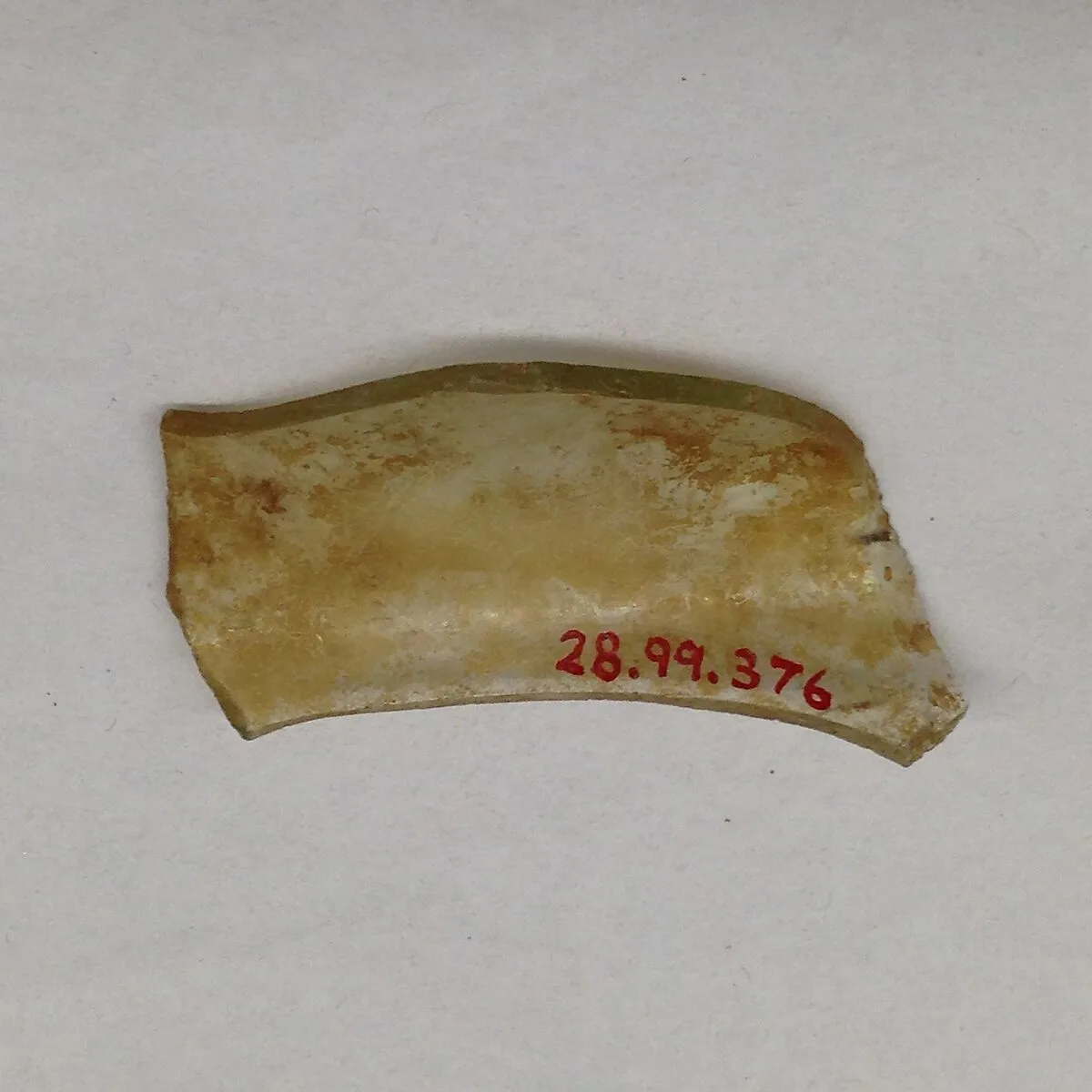 Fragment — Unknown