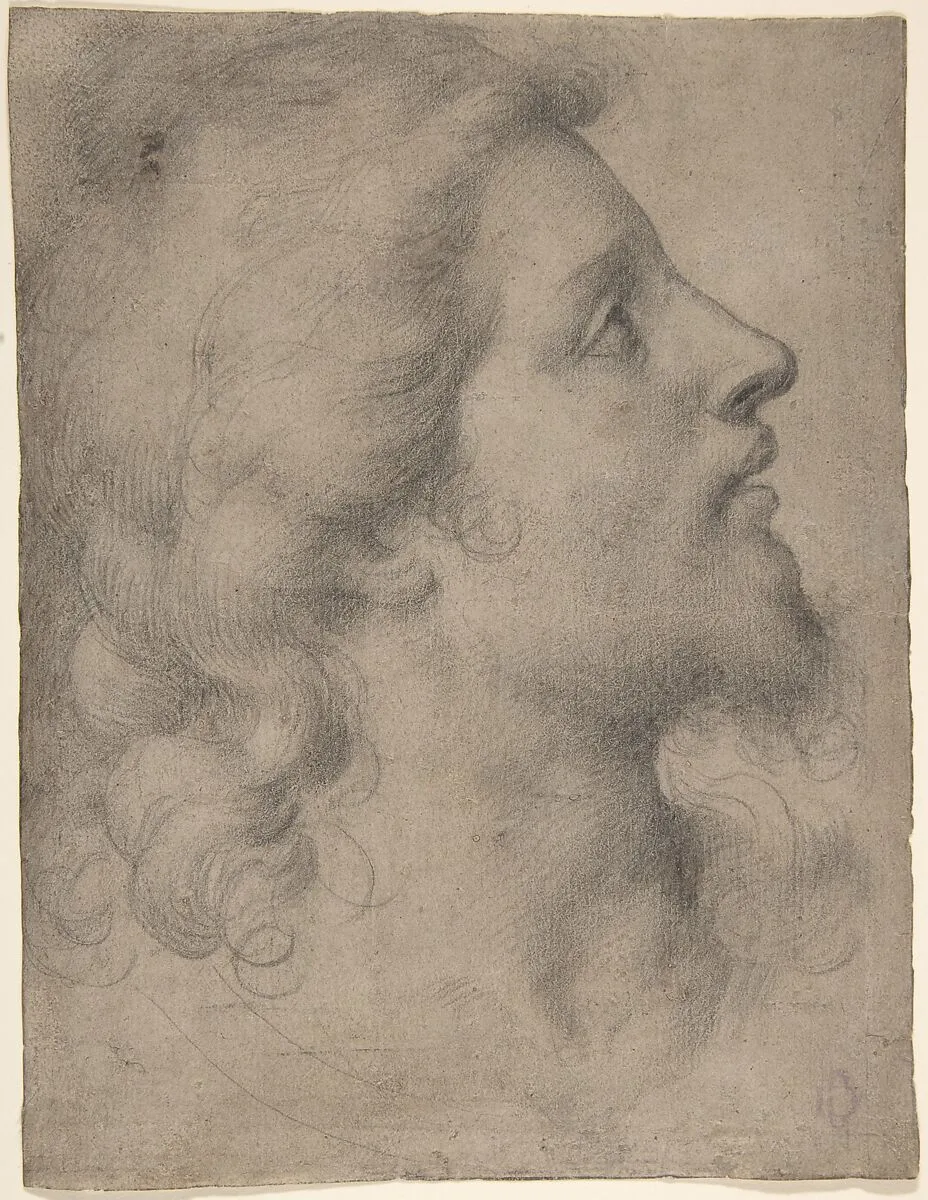 Head of a Bearded, Young Man in Profile Facing Right — Bronzino (Agnolo di Cosimo di Mariano)