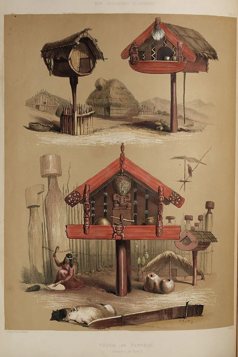 The New Zealanders — George French Angas