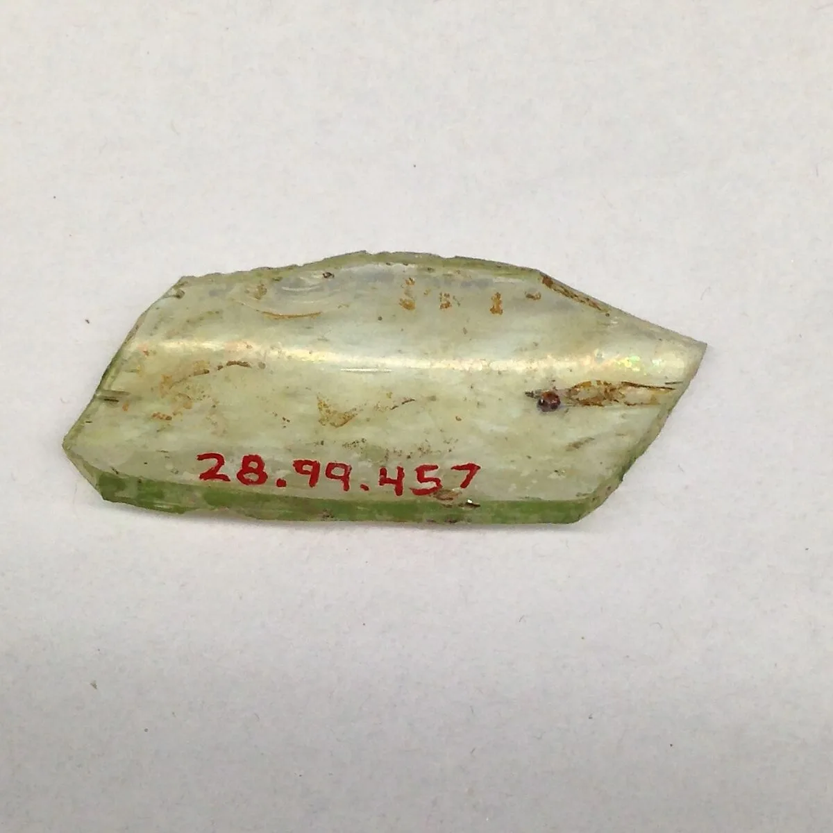 Fragment — Unknown