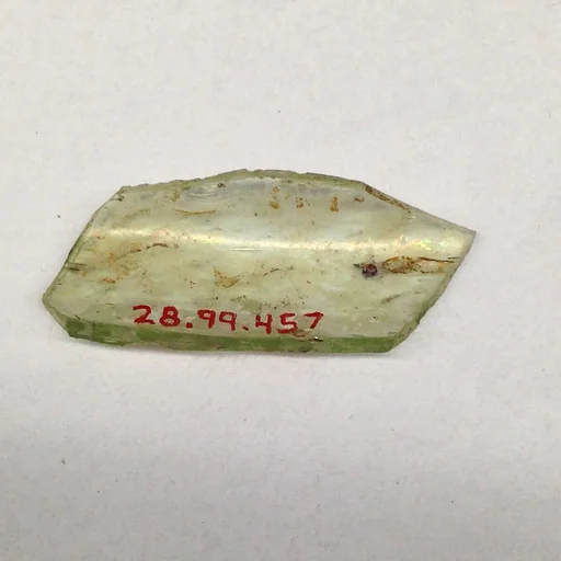 Fragment