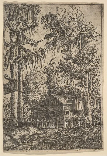 Cabin Among Trees