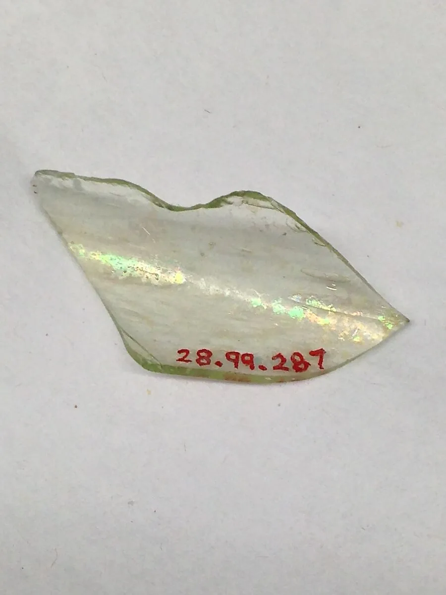 Fragment — Unknown