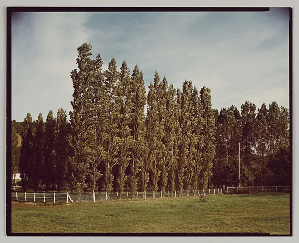 Giverny — Stephen Shore