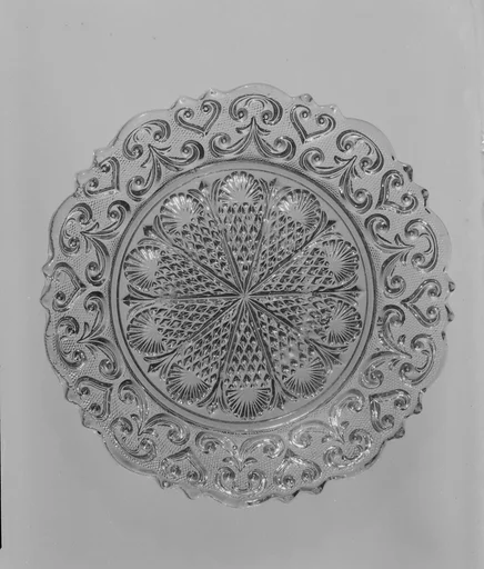 Dish