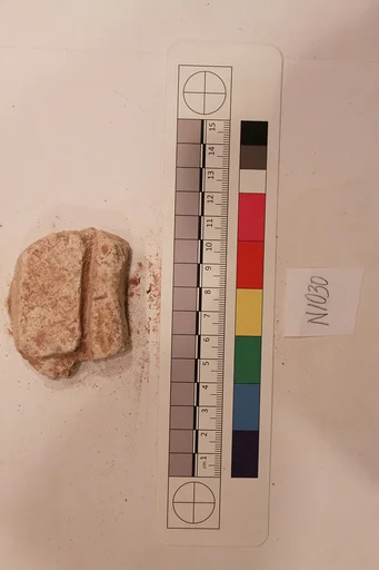 Stucco Fragment