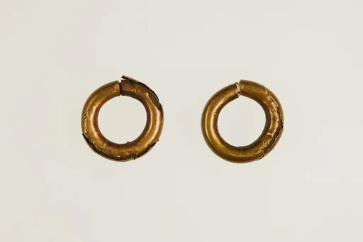 Pair of Earrings (with 16.10.311)