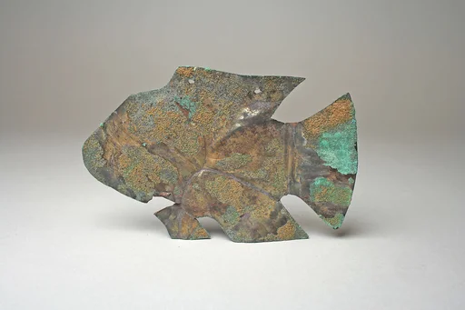 Ornamental Fish