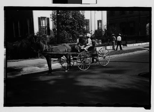 [Couple in Horse-Drawn Carriage on Street, Natchez, Mississippi]