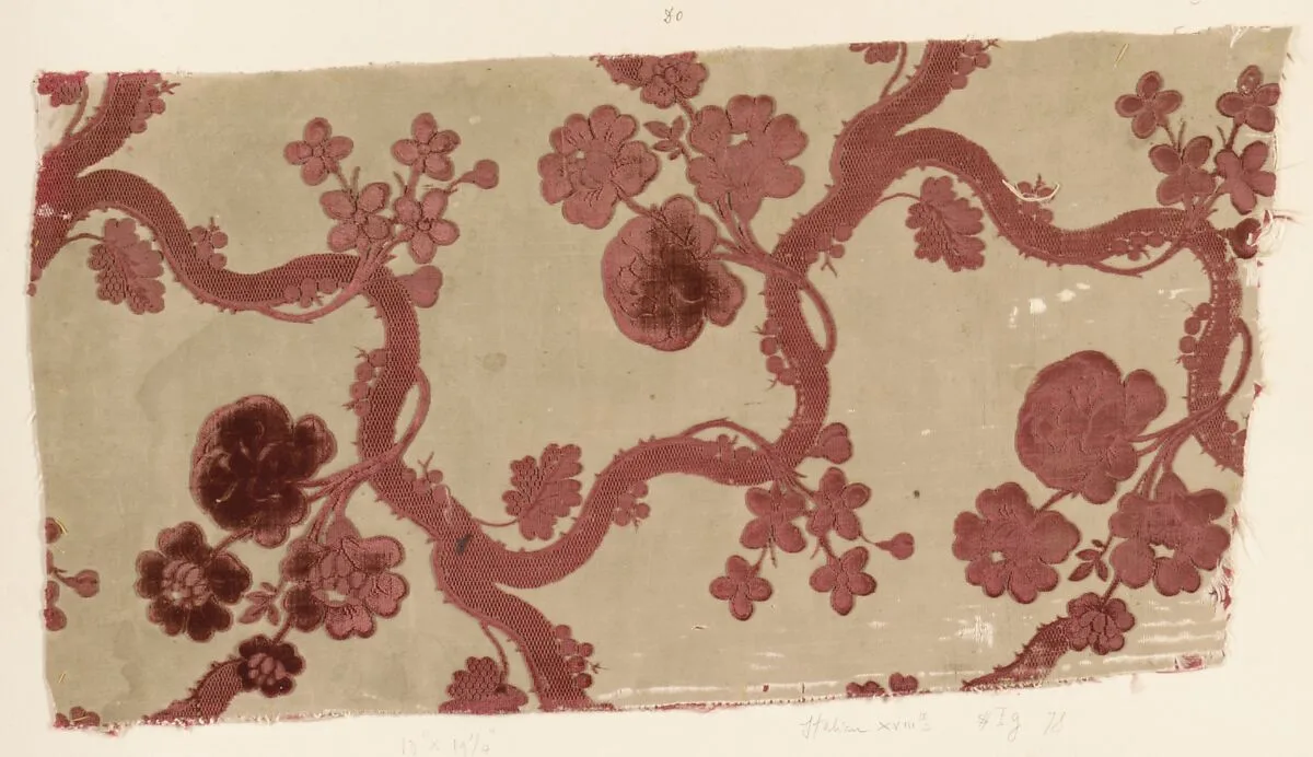 Fragment — Unknown