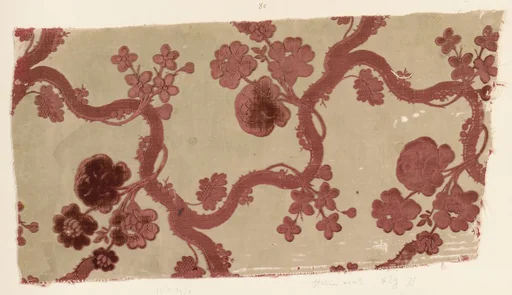 Fragment