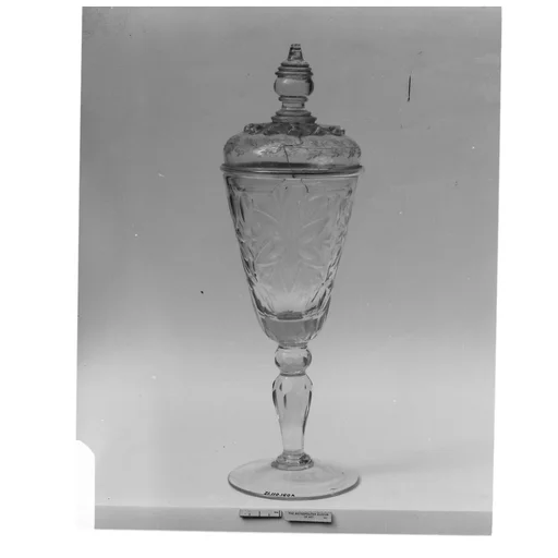 Wineglass with cover