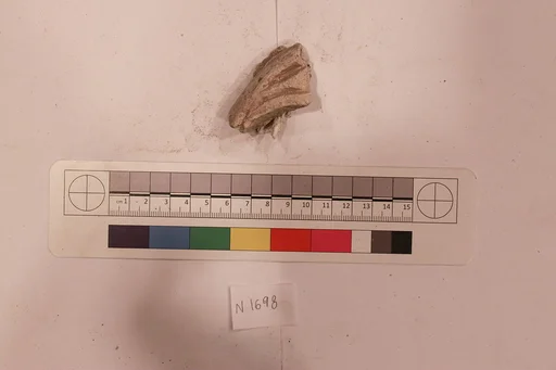 Stucco Fragment