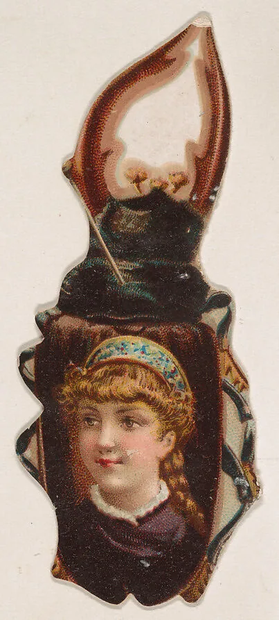 Beetle, from the Novelties series (N228, Type 3) issued by Kinney Bros. — Kinney Brothers Tobacco Company