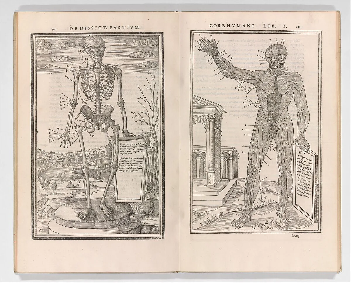 De dissectione partium corporis humani libri tres — Geofrey Tory|Charles Estienne|Simon de Colines|Perino del Vaga (Pietro Buonaccorsi)|Jean "Mercure" Jollat|Estienne de la Rivière