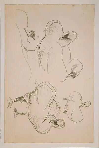 Swans — John Singer Sargent
