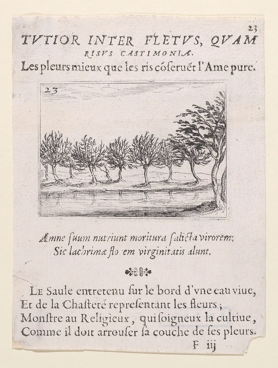 Le Saules au Bord de l'Eau (The Willows at the Waterfront), from Lux Claustri ou La Lumière du Cloitre (The Light of the Cloisters), plate 23 — Jacques Callot|François Langlois