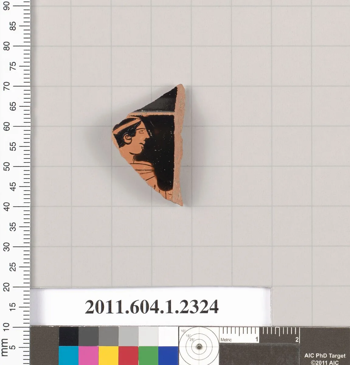 Terracotta fragment of a kylix (drinking cup) — Unknown