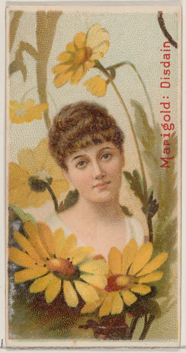 Marigold: Disdain, from the series Floral Beauties and Language of Flowers (N75) for Duke brand cigarettes — Donaldson Brothers|American Tobacco Company