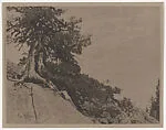 Dryads — Anne W. Brigman