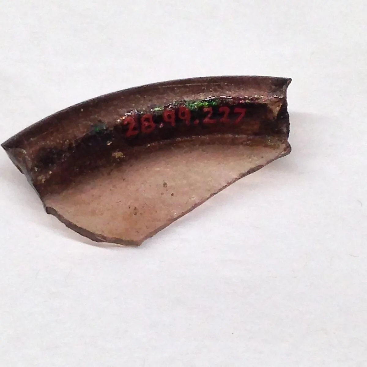Fragment — Unknown