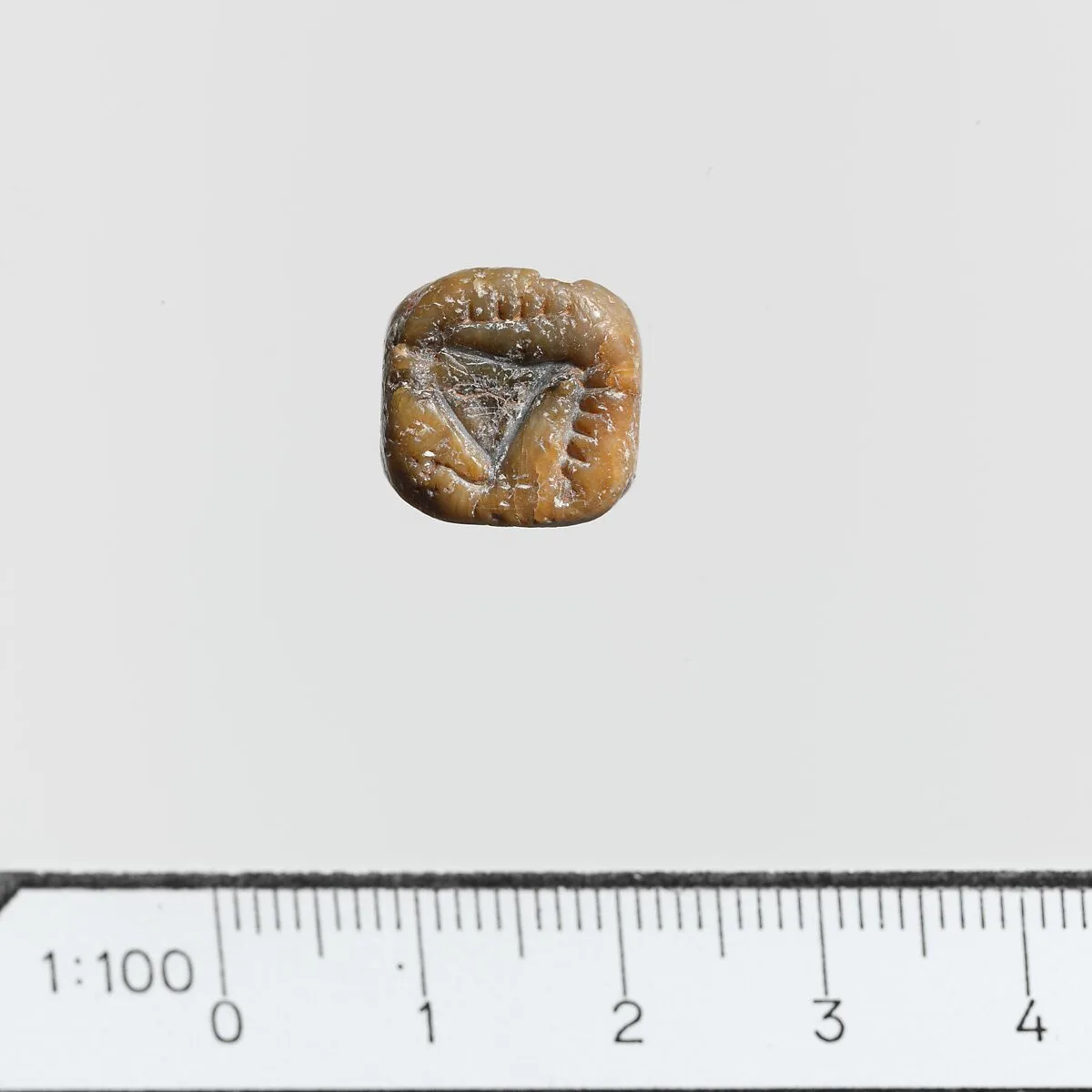 Seal — Unknown