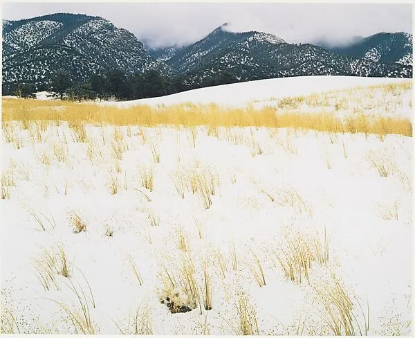 Snow and Grass, Colorado — Eliot Porter