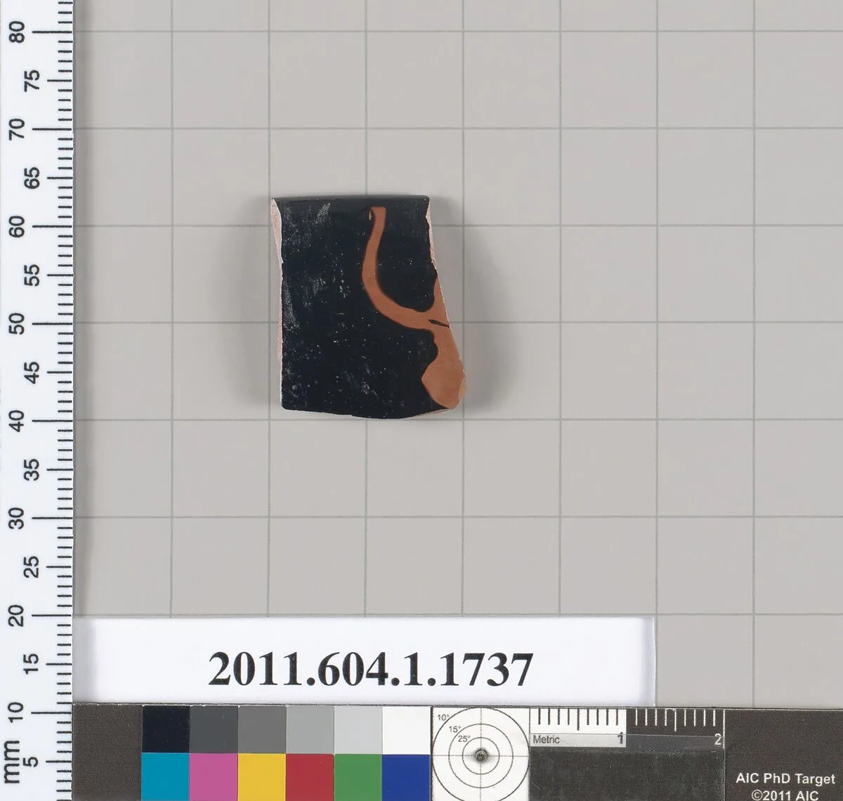 Terracotta rim fragment of a kylix (drinking cup) — Unknown