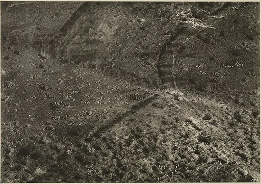 [Battlefield at Vaux, France]