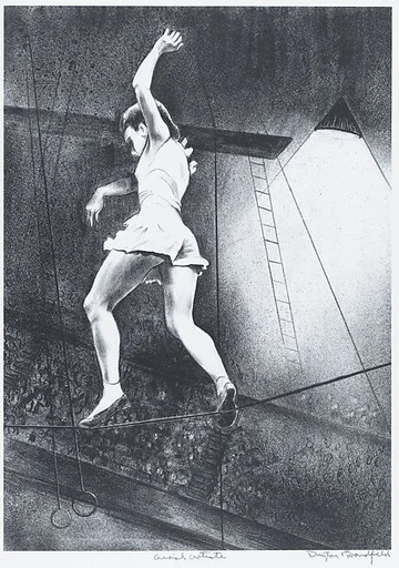 Aerial Artist