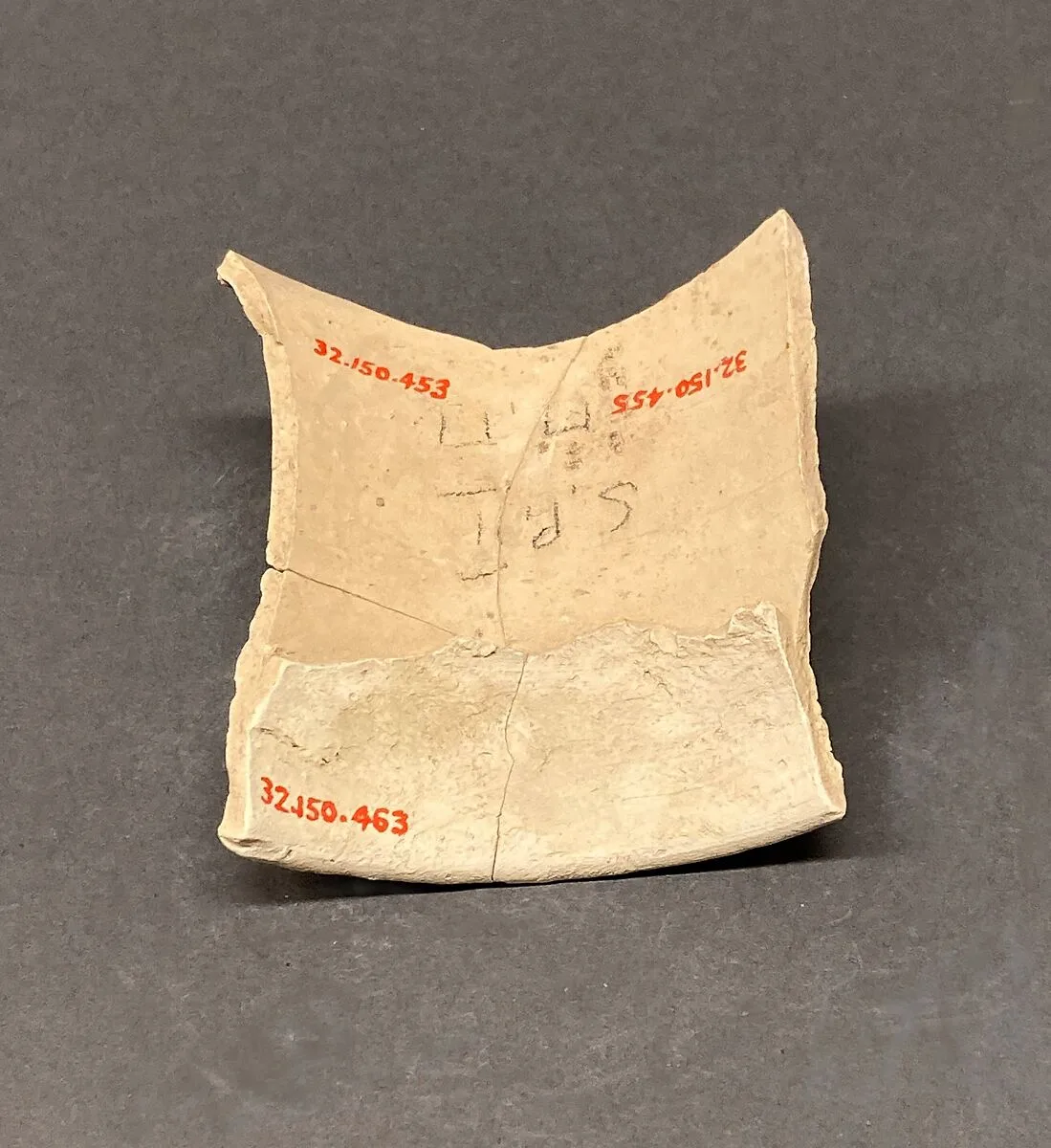 Fragment — Unknown