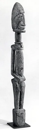 Figure: Male