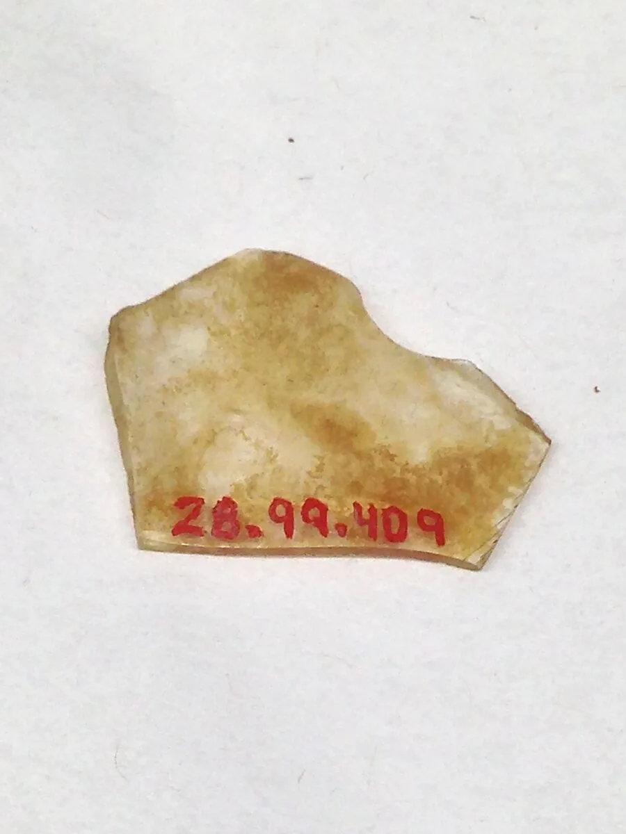 Fragment — Unknown