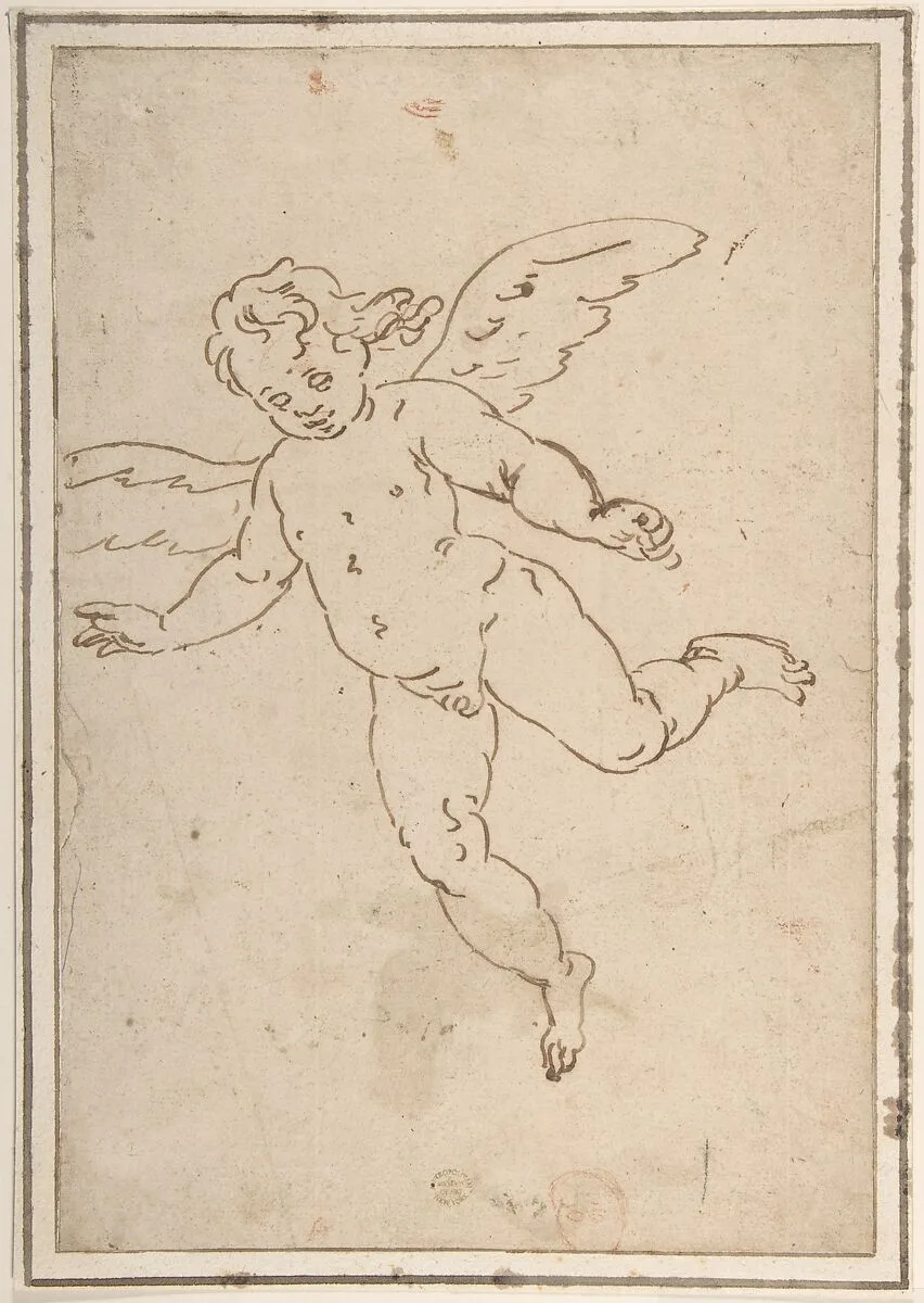 Cupid Flying — Luca Cambiaso