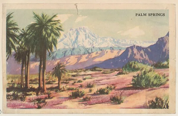 Palm Springs, bakery card from the Nature's Splendor series (D39-7), issued by the Gordon Bread Company — Gordon Bread Company