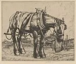 The Trace Horse — Robert Sargent Austin