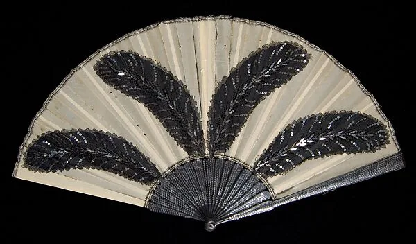 Fan — Faucon