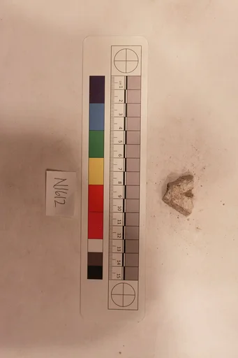 Stucco Fragment