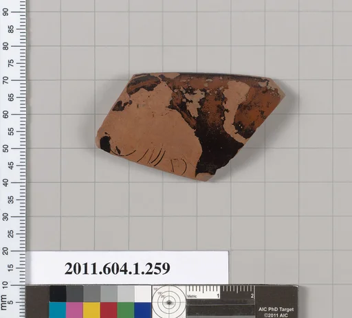 Terracotta rim fragment of a kylix (drinking cup)