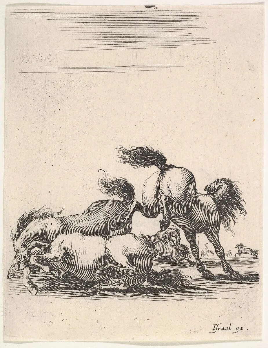 Several horses fighting, one horse to right kicking two horses on the ground below to left, other horses fighting in the background, from 'Various cavalry exercises' (Diverses exercices de cavalerie) — Stefano della Bella|Israël Henriet